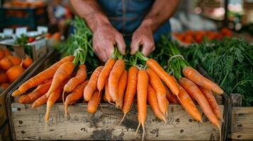 ai genererad jordbrukare marknadsföra med händer väljer färsk morötter från en vegetabiliska bås. foto