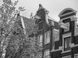 amsterdam i holland foto