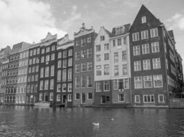 amsterdam i holland foto