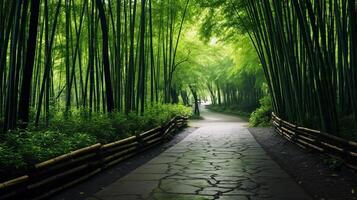 ai genererad en avkopplande och uppfriskande se av en lugn bambu skog med en klar himmel och en naturlig ljud foto