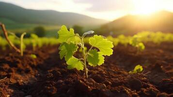 ai genererad ung vinranka plantor blomstrande i en pittoresk vingård foto