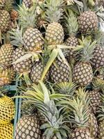 de många mogen ananas i de plast bricka. foto