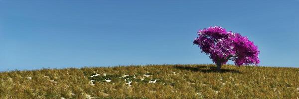 enslig vibrerande rosa träd stående på en gyllene fält mot en klar blå himmel foto