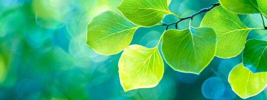 ai genererad lysande grön löv på lugn blå bakgrund foto