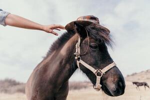 ung Lycklig kvinna med henne ponny häst i kväll solnedgång ljus. utomhus- fotografi med mode modell flicka. livsstil humör. begrepp av utomhus- ridning, sporter och rekreation. foto