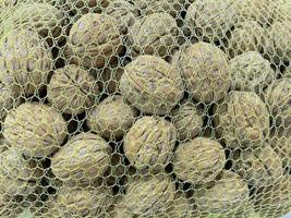skalade valnötter i ett nät