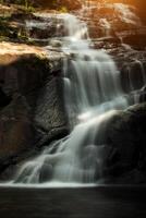 litet vattenfall i skogen foto