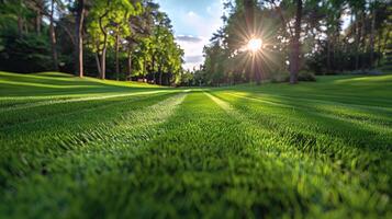 ai genererad vibrerande grön gräs under solljus foto