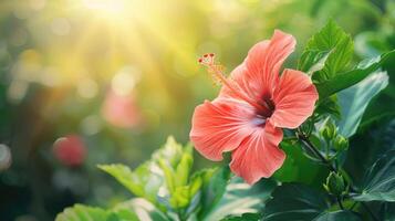 ai genererad röd hibiskus blomma på en grön bakgrund. i de tropisk trädgård. foto