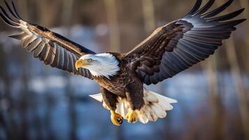 ai genererad en skallig Örn i flyg en symbol av frihet och styrka foto