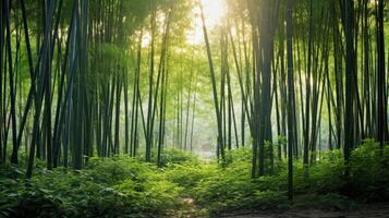 ai genererad en lugn och fredlig scen av en lugn bambu skog på gryning med en solstråle och en daggdroppe foto