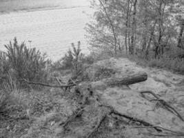 strand i polen foto