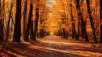 ai genererad en vektor illustration av en skog golv med ljus och färgrik löv foto