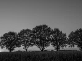 Westfalen i Tyskland foto