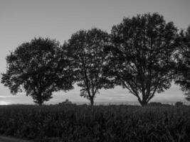 Westfalen i Tyskland foto