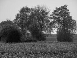 Westfalen i Tyskland foto