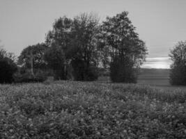 Westfalen i Tyskland foto