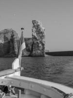 ön helgoland foto