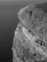 ön helgoland foto