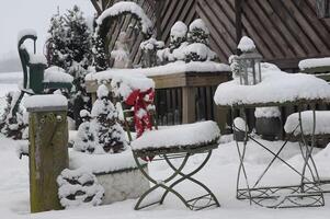 vinter- i de trädgård foto