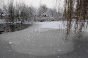 vinter- tid i Westfalen foto