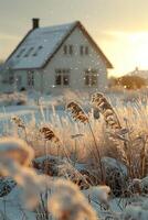 ai genererad vinter- landskap på solnedgång med gräs och hus i bakgrund foto