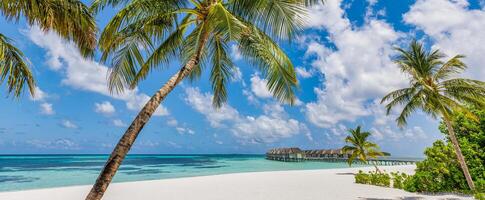 fantastiskt panorama på Maldiverna. lyxiga resortvillor havslandskap med palmer, vit sand och blå himmel. vackert sommarlandskap. fantastisk strand bakgrund för semester semester. paradisön koncept foto