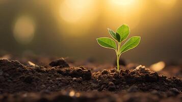 ai genererad mycket liten gro fröplanta av en träd i solljus. symbol av ekologi, natur och de början av liv och tillväxt begrepp foto