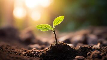 ai genererad mycket liten gro fröplanta av en träd i solljus. symbol av ekologi, natur och de början av liv och tillväxt begrepp foto