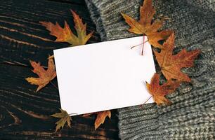vit tom kort på de höst bakgrund med fallen löv och ollon på en stickat filt. attrapp foto