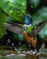ai genererad en mycket skön kolibri nära de flod foto