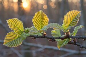 ai genererad ljus vår grönska natur professionell fotografi foto