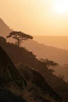 ai genererad afrika landskap detaljer foto