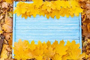 höst löv ram på trä- bakgrund topp se falla gräns gul och orange löv årgång trä tabell kopia Plats för text. foto