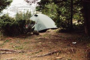 camping tält i de skog, morgon- foto