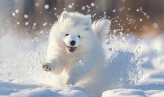 ai genererad fluffig samojed valp med en Lycklig uttryck leka i de snö foto