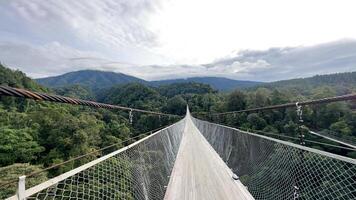 bakgrund natur en suspension bro i de mitten av en skog foto