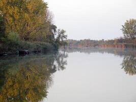 höst färgrik träd reflekterande i lugn flod foto