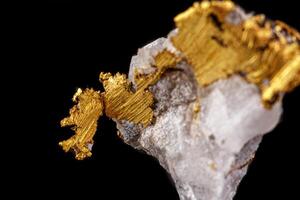 makro mineral sten guld i de sten på en svart bakgrund foto