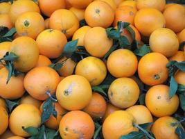 apelsin fruktmat foto