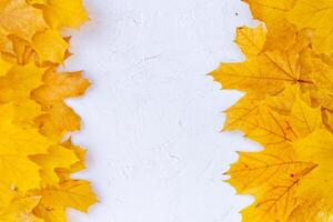 höst löv ram på vit bakgrund topp se falla gräns gul och orange löv årgång strukturera tabell kopia Plats för text. foto