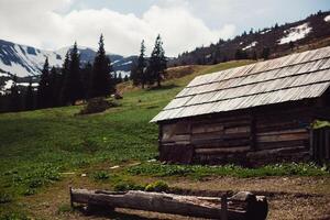 gammal trä- hus i de karpater skog foto