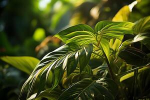 ai genererad stänga upp av tropisk växter i de skog med gyllene solljus. generativ ai foto