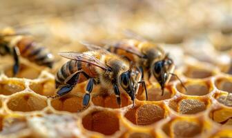 ai genererad bin är arbetssätt på vaxkaka foto