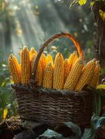 ai genererad majs är häfta mat i många länder runt om de värld foto