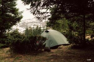 camping tält i de skog, morgon- foto