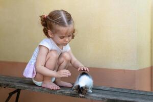 liten caucasian flicka spelar på en sommar dag med en liten kattunge foto