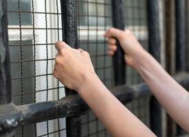 kvinna i fängelse händer av Bakom håll stål bur fängelse barer. lagbrytare kriminell låst i fängelse. foto