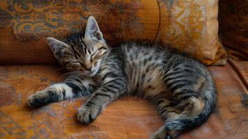 ai genererad kattunge sovande på de soffa foto