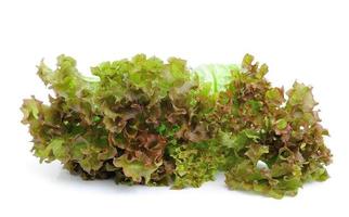 färska gröna salladsblad isolerade på vitt foto